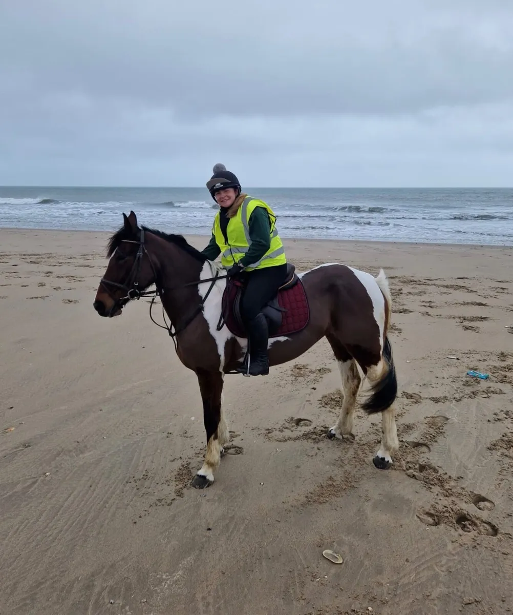8yo riding coloured mare - Image 4