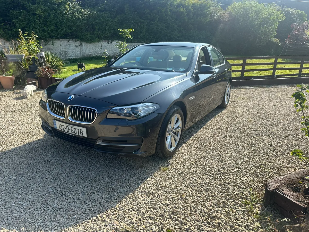 BMW 520D SE 2103 - Image 2