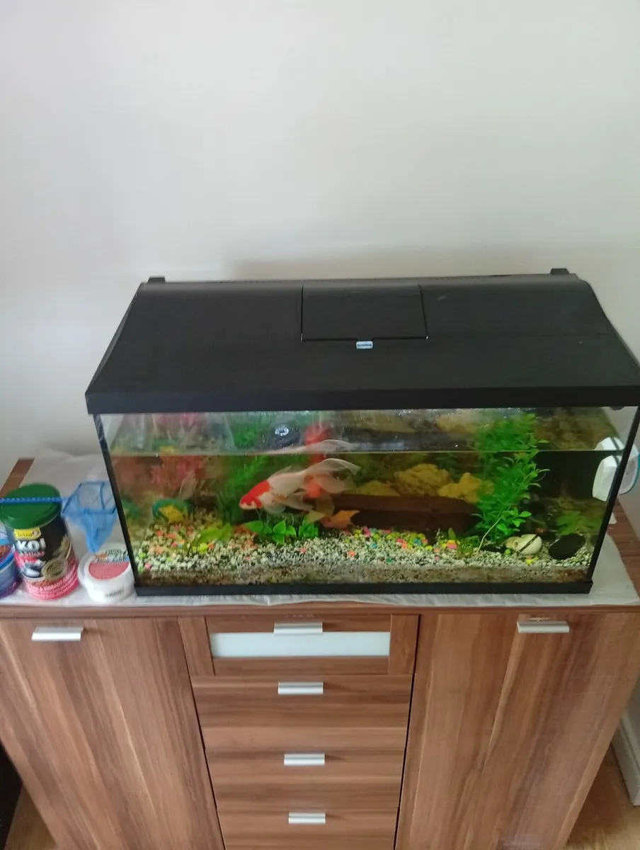 Fish Tank 105Ltr with cabinet full set - Image 4