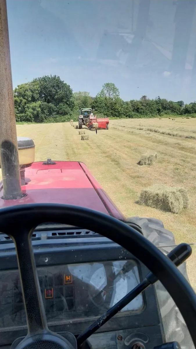 Hay