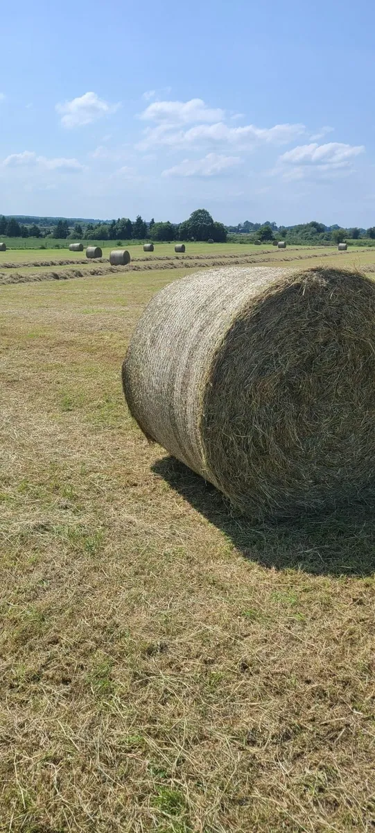 Hay Bales - Image 2