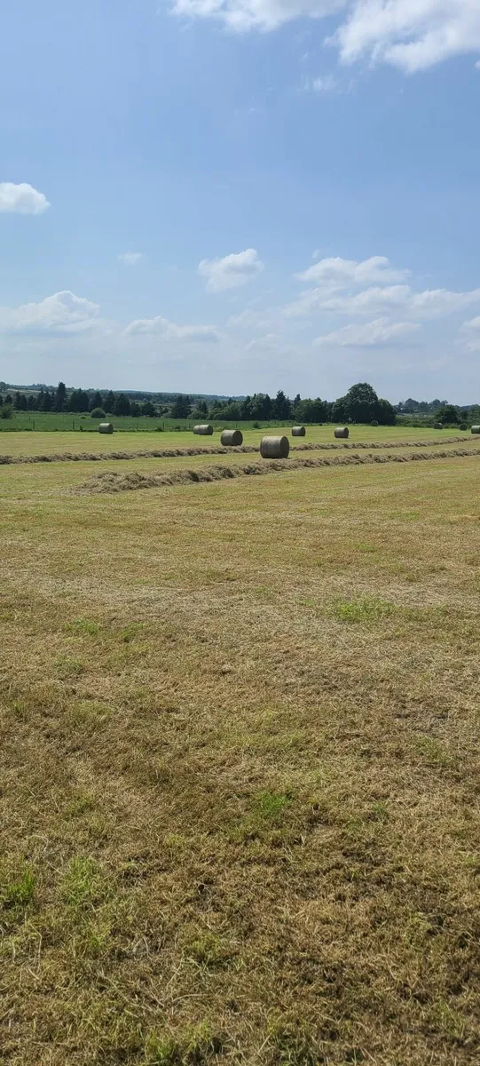 Hay Bales - Image 3