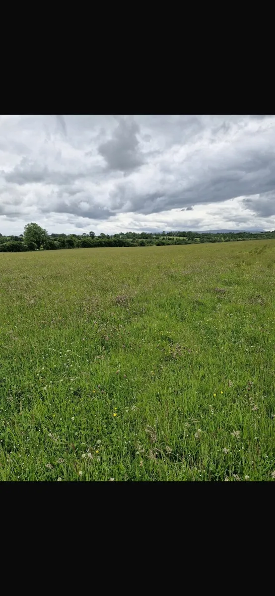 Haylage - Image 1