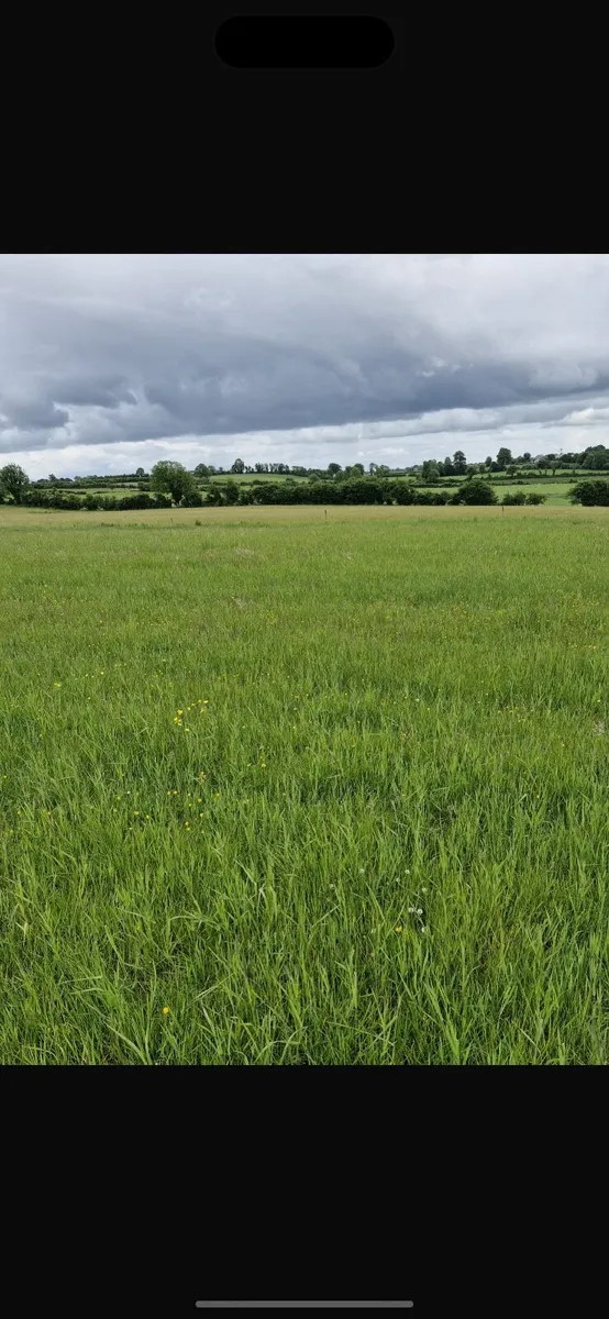 Haylage - Image 2
