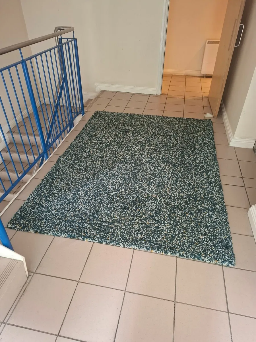 Extra Large Ikea Rug - Image 2