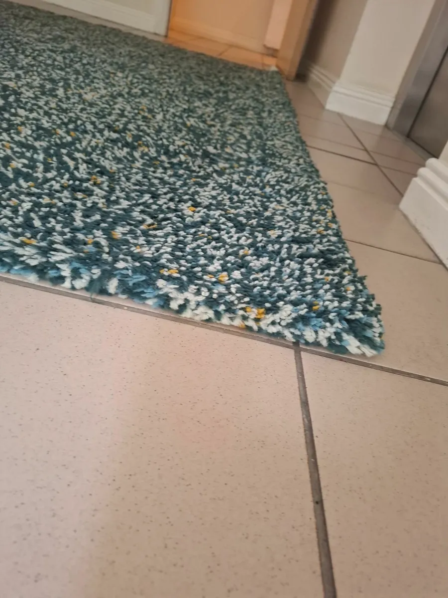 Extra Large Ikea Rug - Image 3