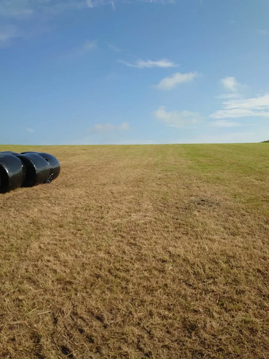 Silage for sale - Image 2