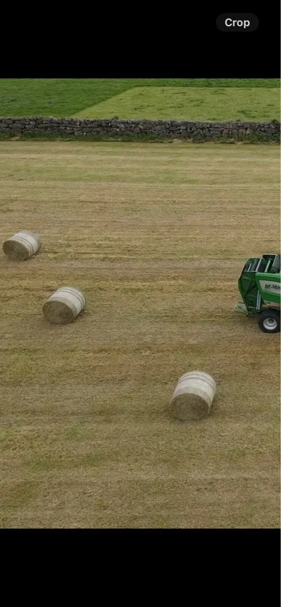 Hay - Image 1