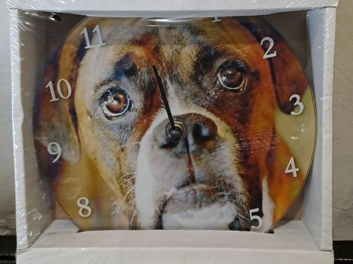 Boxer wall clock NEW - Image 1