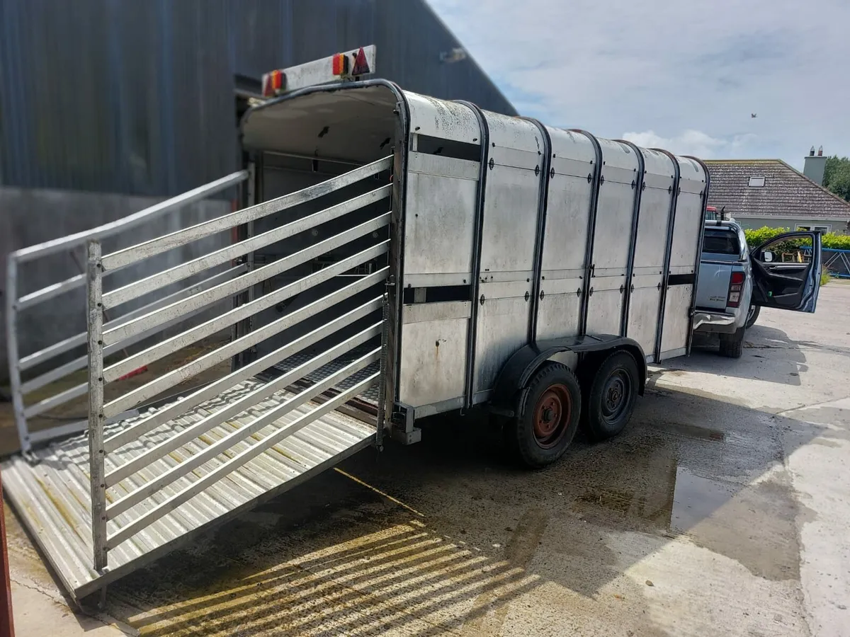 Ifor Williams 12 x 6 Cattle Trailer - Image 2