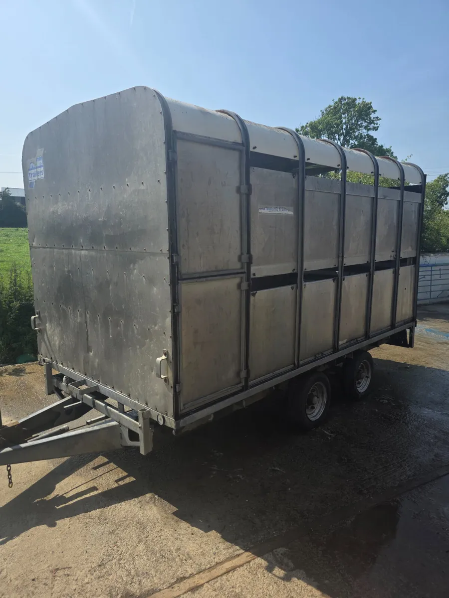 12ft ifor Williams livestock trailer - Image 2