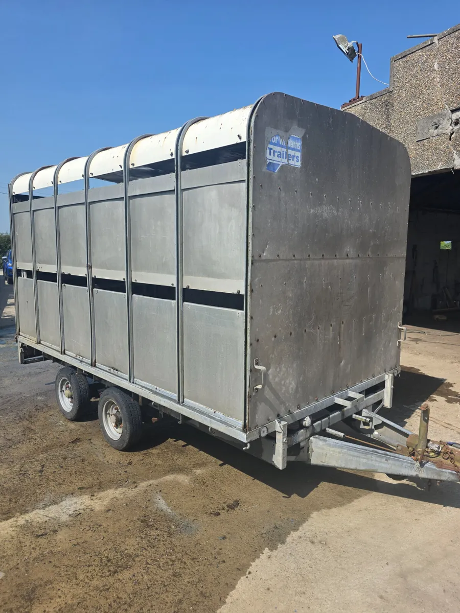12ft ifor Williams livestock trailer - Image 1