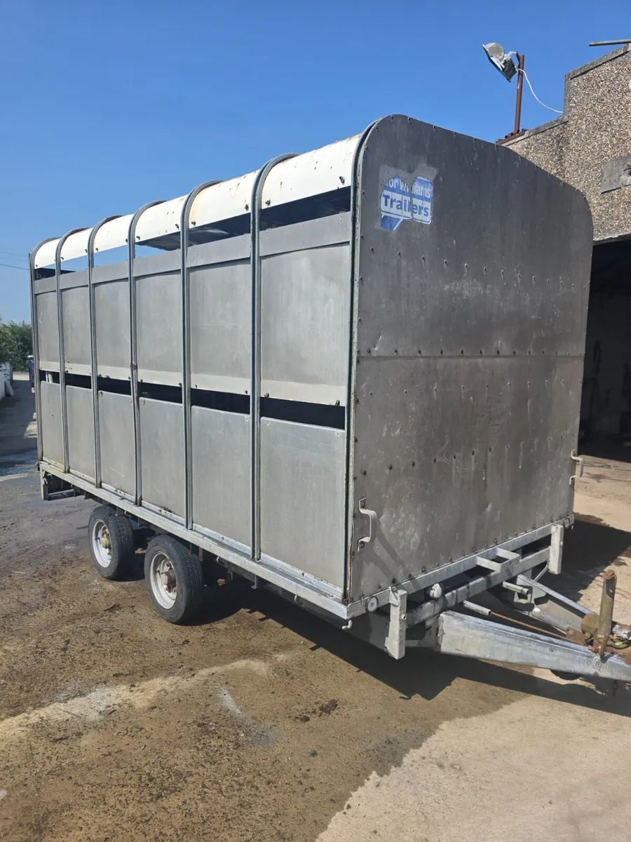 12ft ifor Williams livestock trailer - Image 3