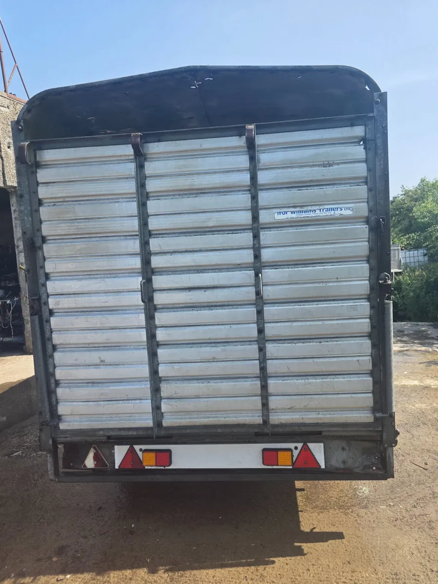 12ft ifor Williams livestock trailer - Image 4