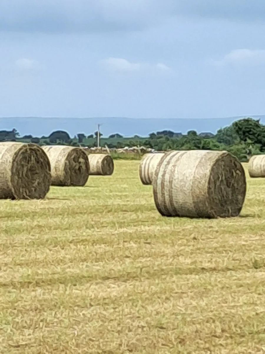 Round bales hay - Image 1