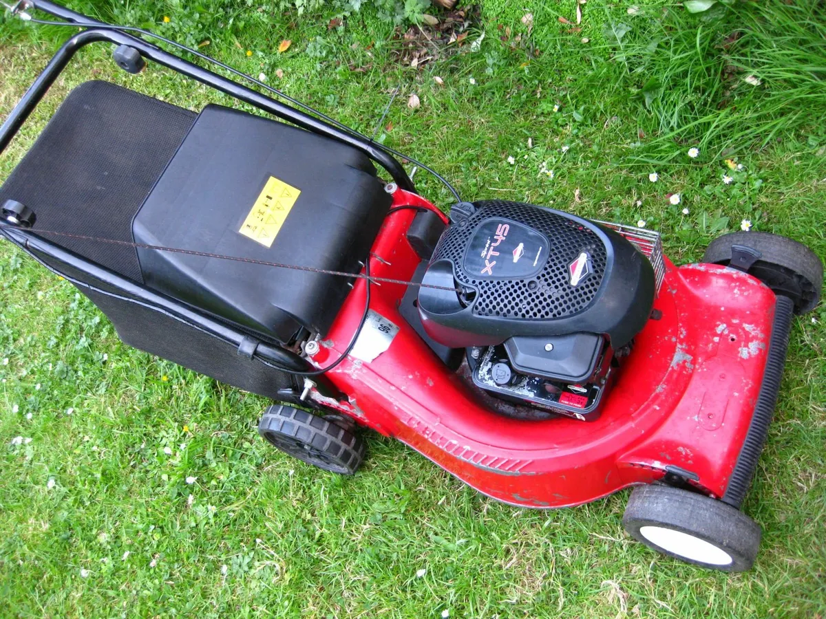 Sandri Garden Briggs&Stratton Petrol Mower- Italy - Image 1