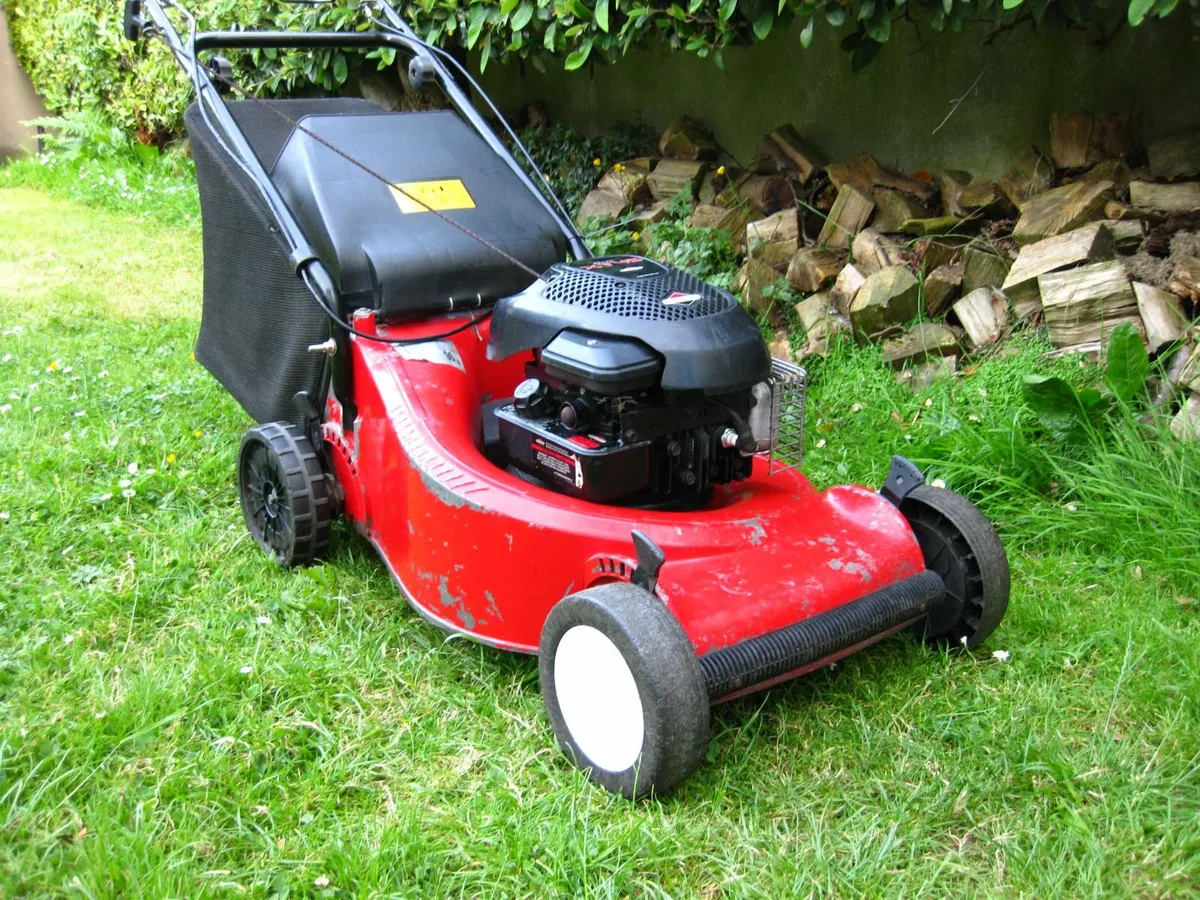 Sandri Garden Briggs&Stratton Petrol Mower- Italy - Image 2