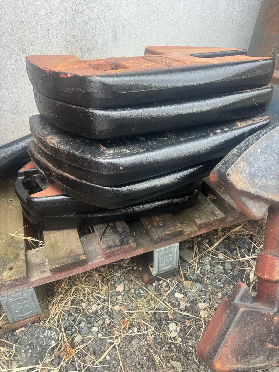 Case/mccormick weights - Image 2