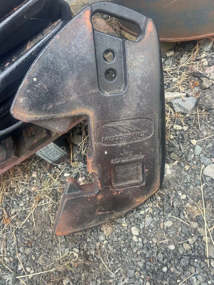 Case/mccormick weights - Image 1