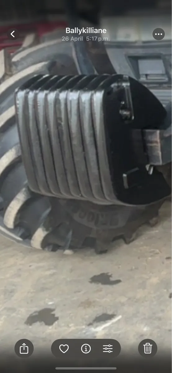 Case/mccormick weights - Image 3