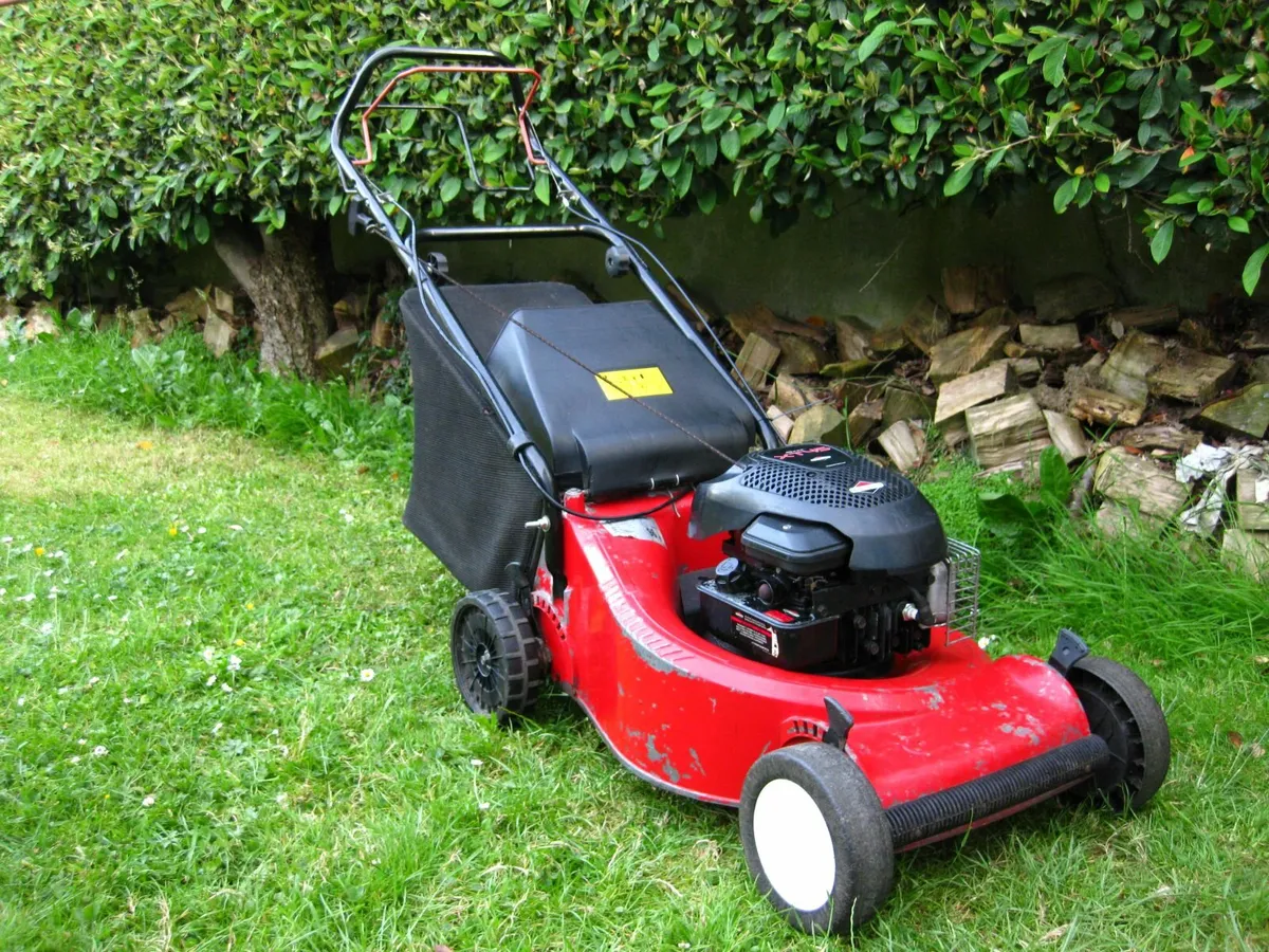 Sandri Garden Briggs&Stratton Petrol Mower- Italy - Image 3
