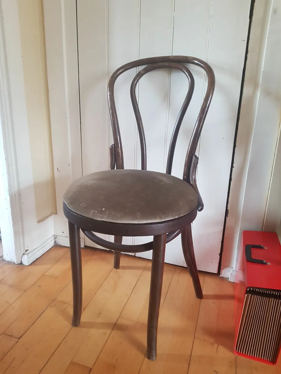 Bentwood chair - Image 1