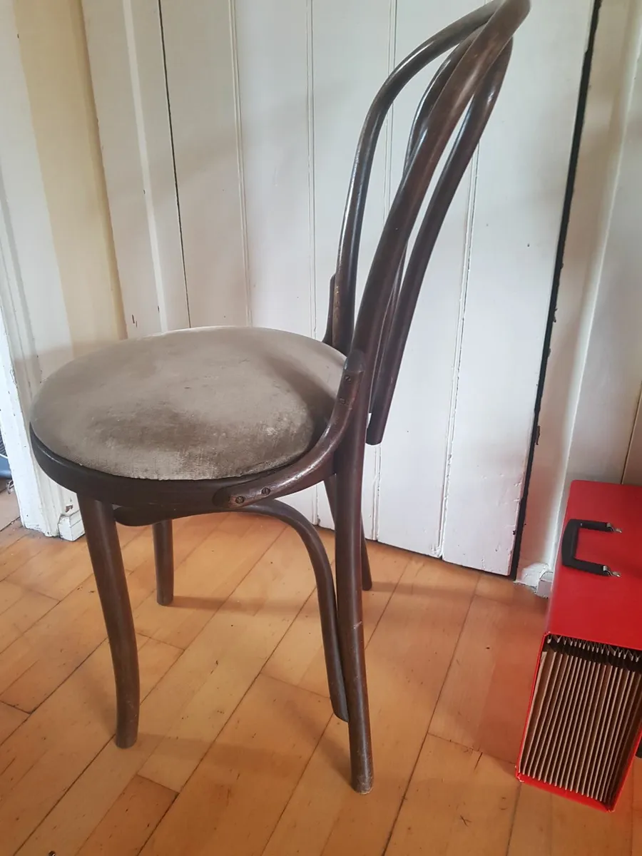 Bentwood chair - Image 3