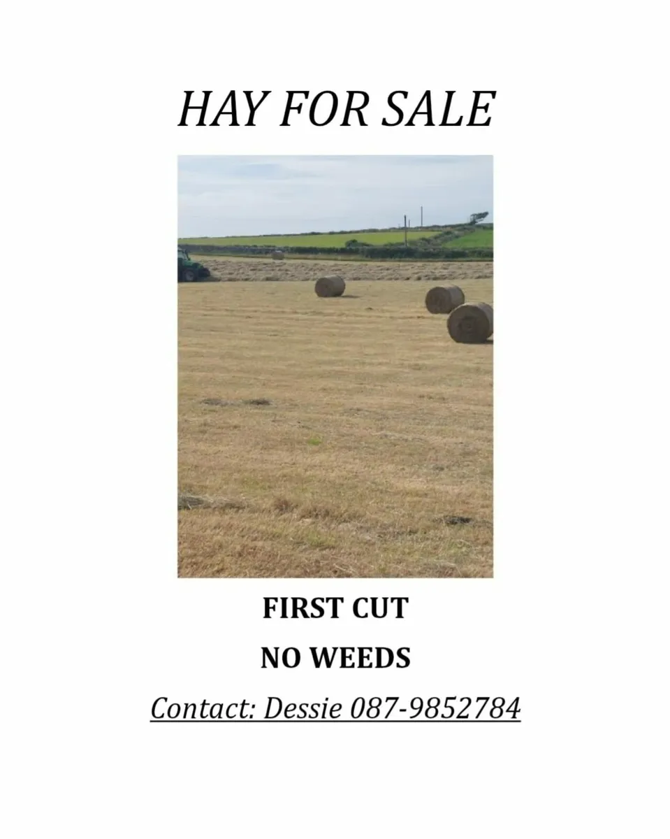 Hay - Image 3