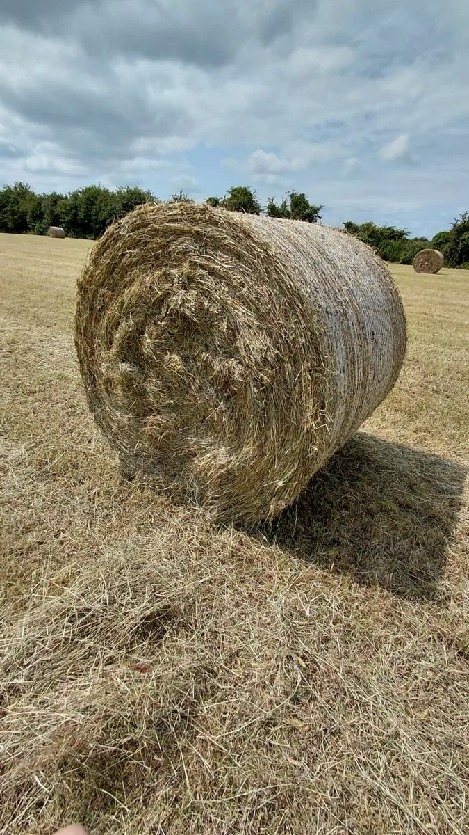 Round Bales - Image 1