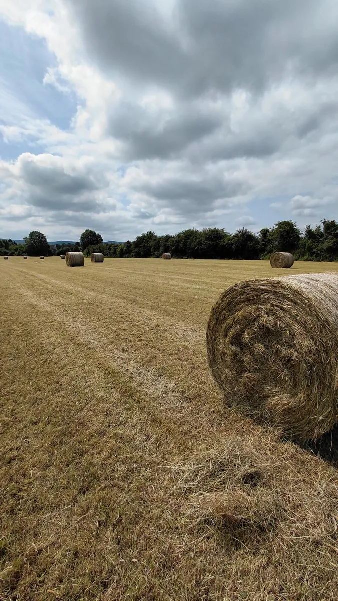 Round Bales - Image 3