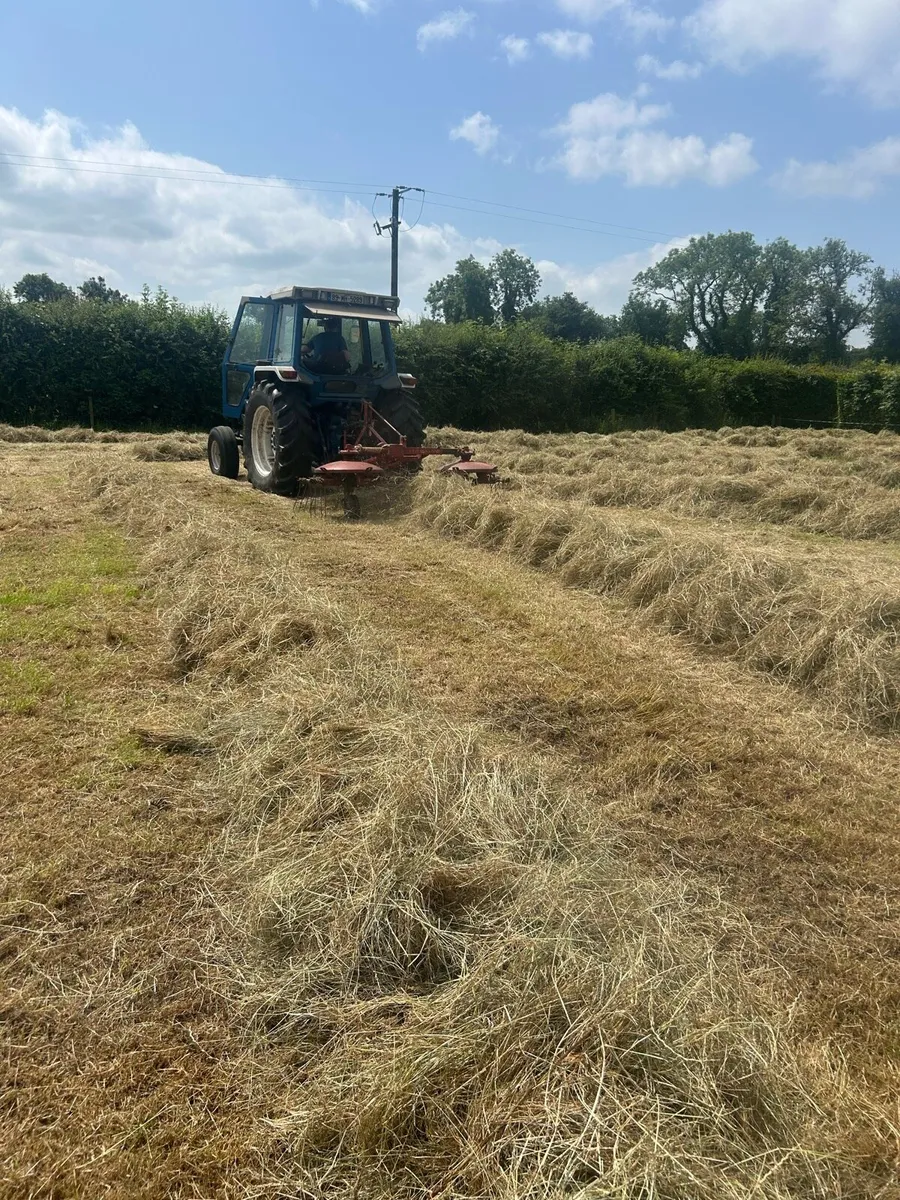 Square Bales of Hay - Image 2