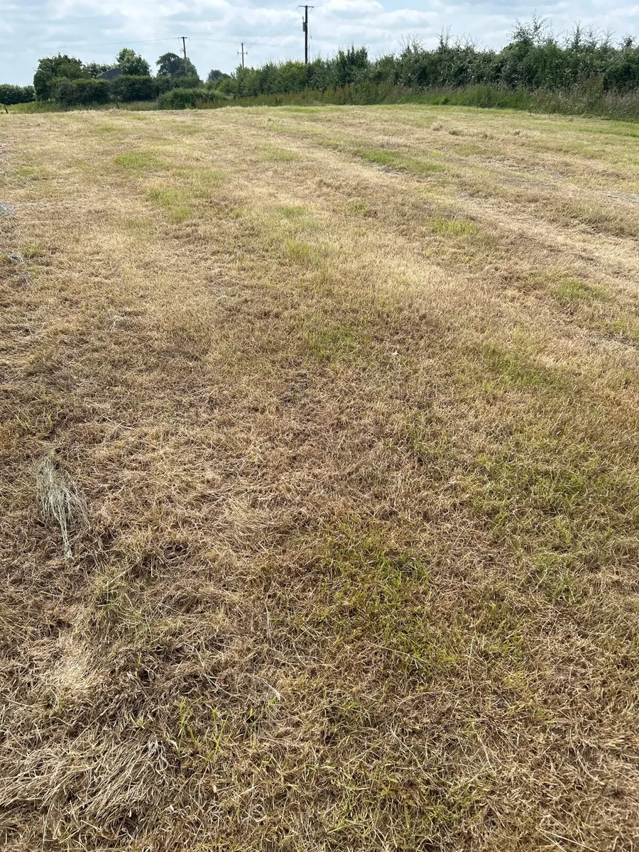Silage land