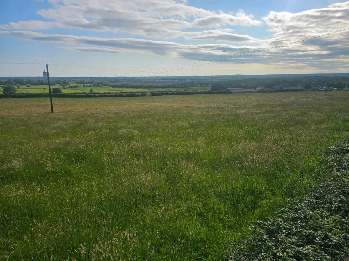 50 acers top quality, first cut silage available, - Image 1