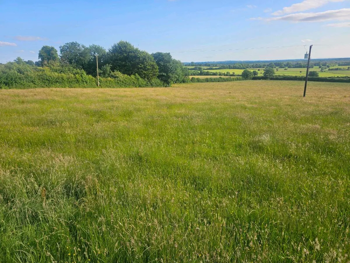 50 acers top quality, first cut silage available, - Image 2