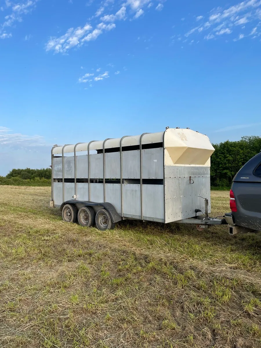 Hudson 14ft cattle trailer - Image 1