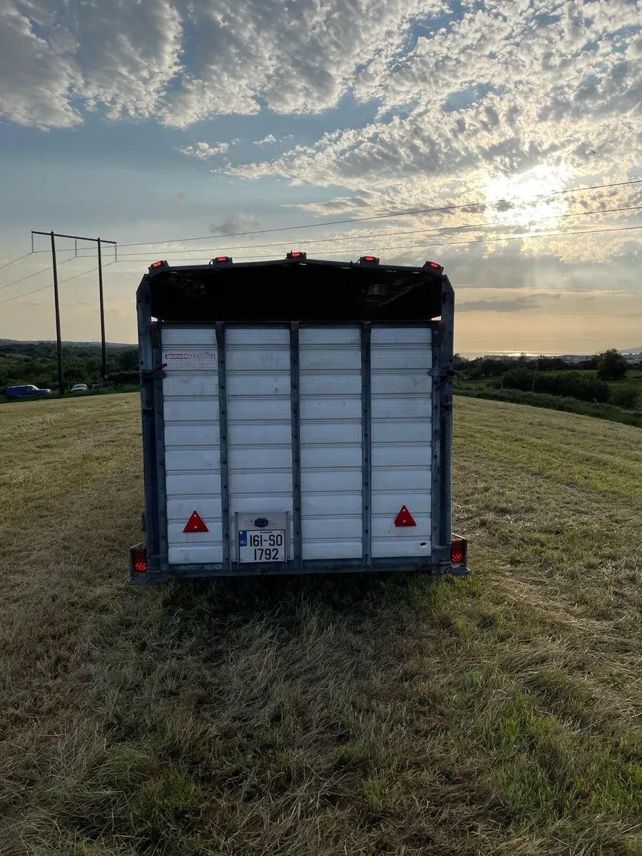 Hudson 14ft cattle trailer - Image 3