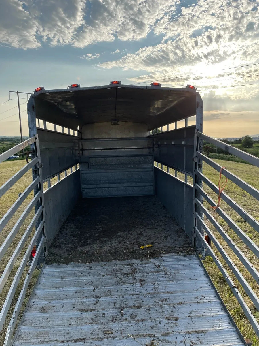 Hudson 14ft cattle trailer - Image 4