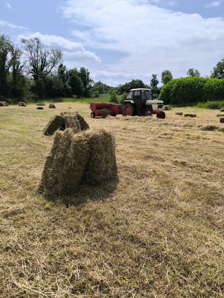 Hay Bales - Image 4