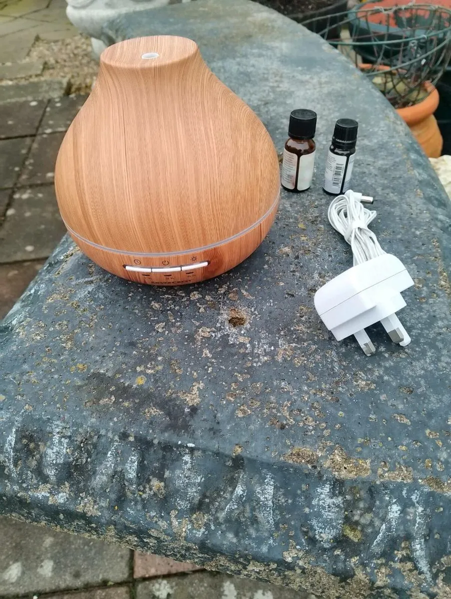 Silver Crest diffuser and about 20 oils - Image 1