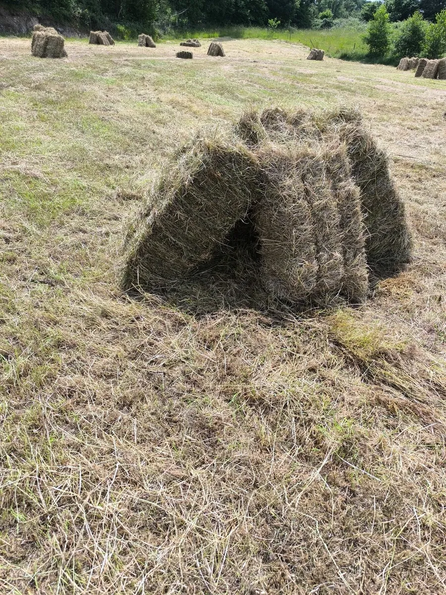 Hay Bales - Image 1
