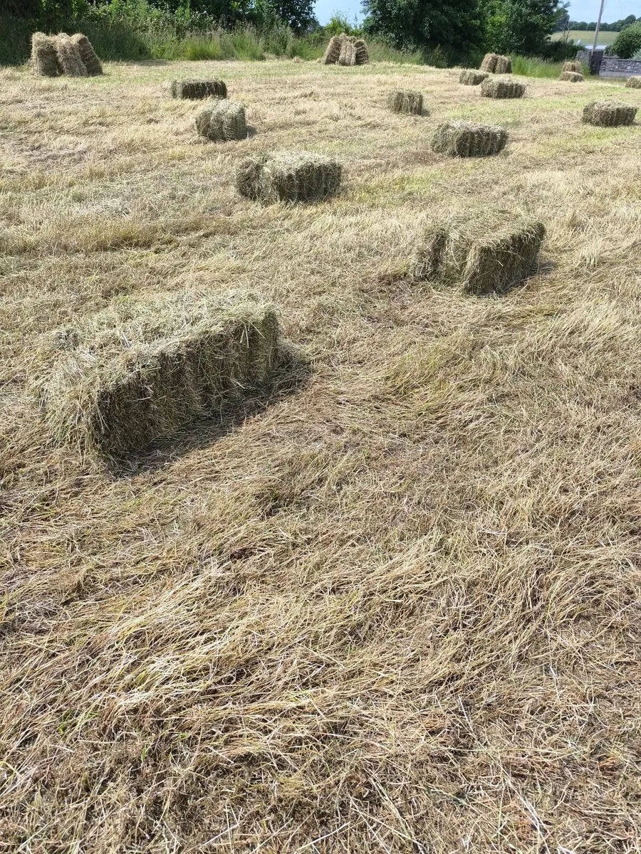 Hay Bales - Image 2