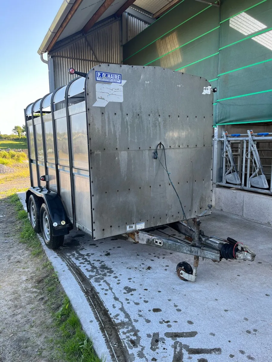 Ifor Williams cattle trailer 10x6 - Image 2