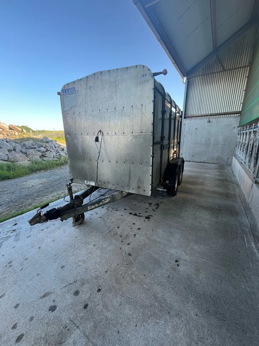 Ifor Williams cattle trailer 10x6 - Image 3