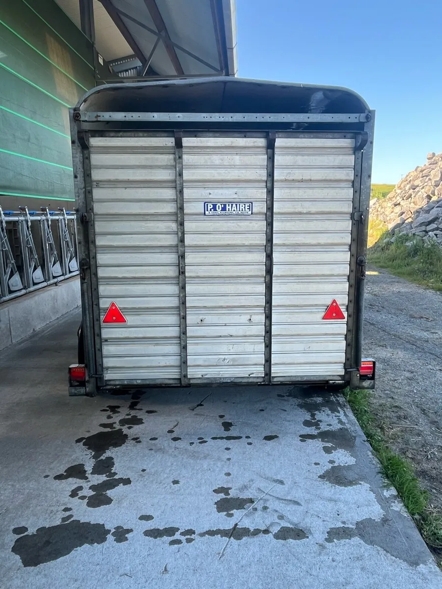 Ifor Williams cattle trailer 10x6 - Image 4