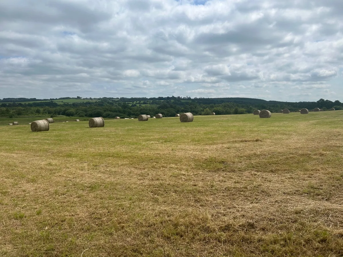 Round bales of hay - Image 2