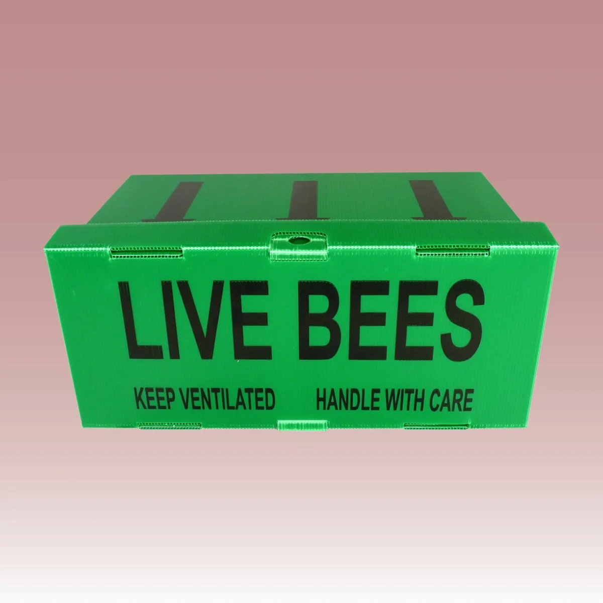 Native honey bees.(6 frame nucs)