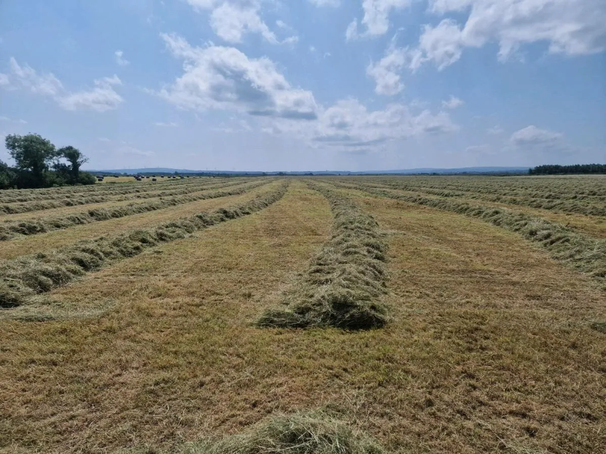 Kuhn Rake - Image 4