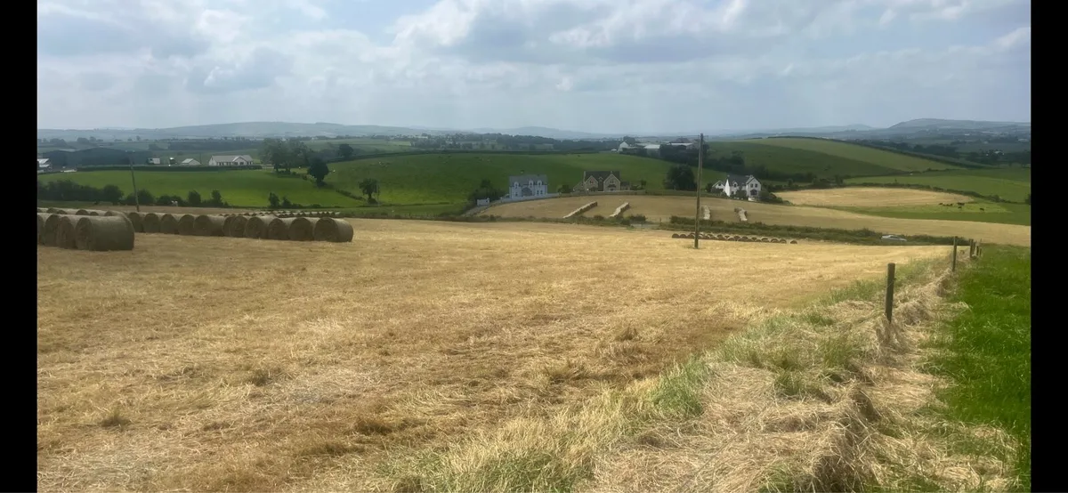 Hay - Image 2