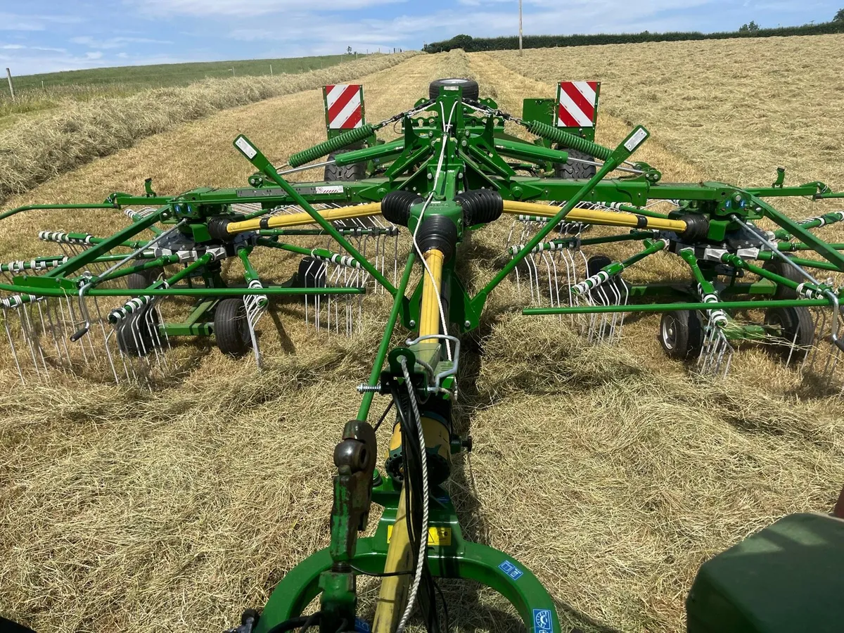 Hay - Image 3