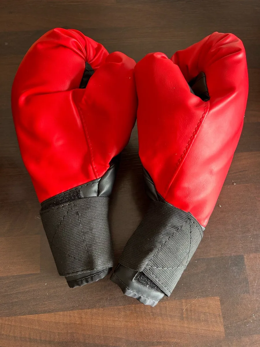 Boxing / Punching Bag - Image 3
